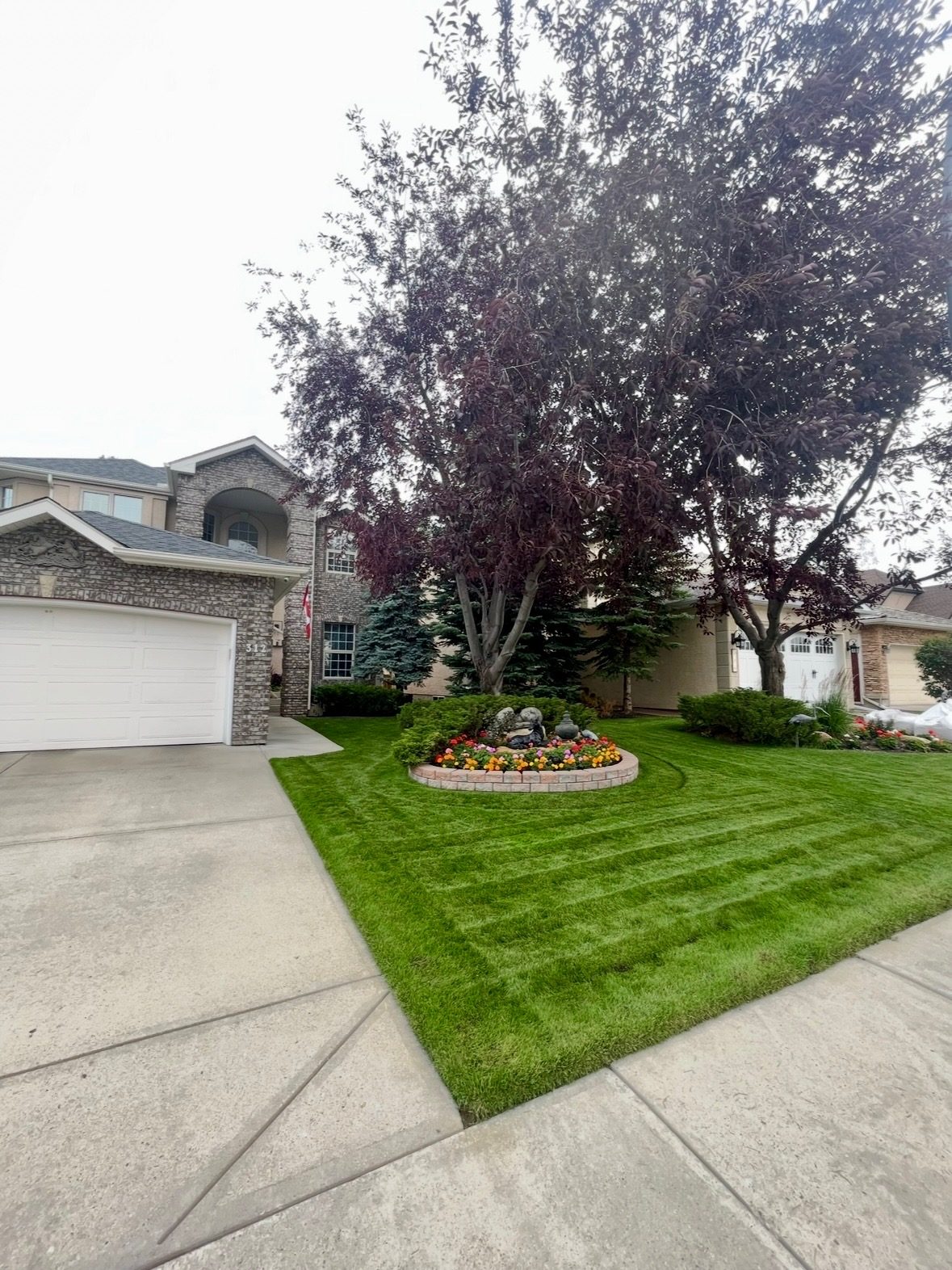 Striped front lawn with mature trees on a Calgary property