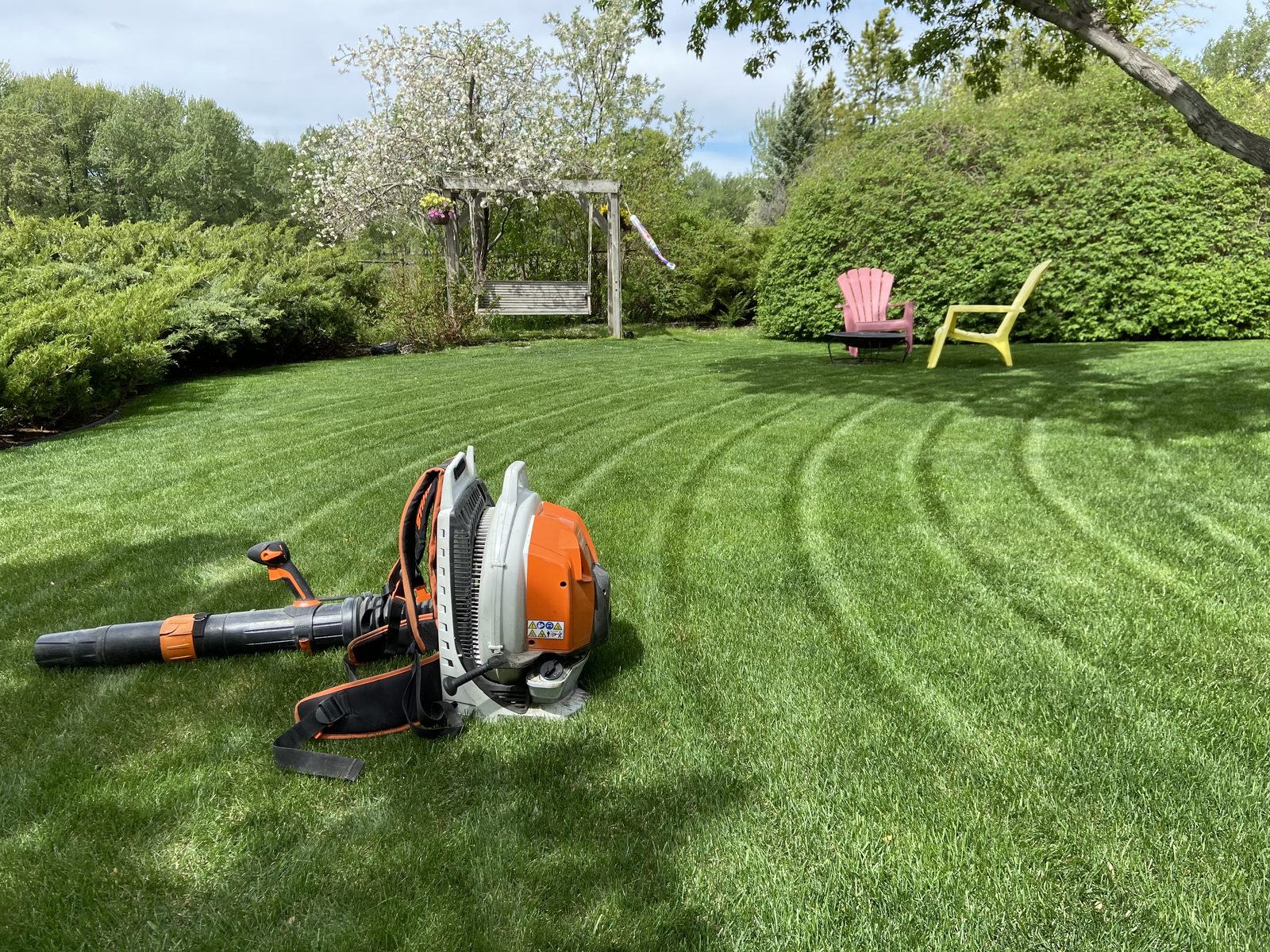 Freshly cut and striped residential lawn with mature landscaping